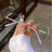 نظارات نسائية  أنيقة